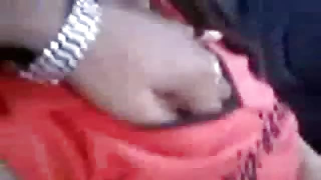 Cute Indian Couple Found Making Love In The Wild Porndroids Com